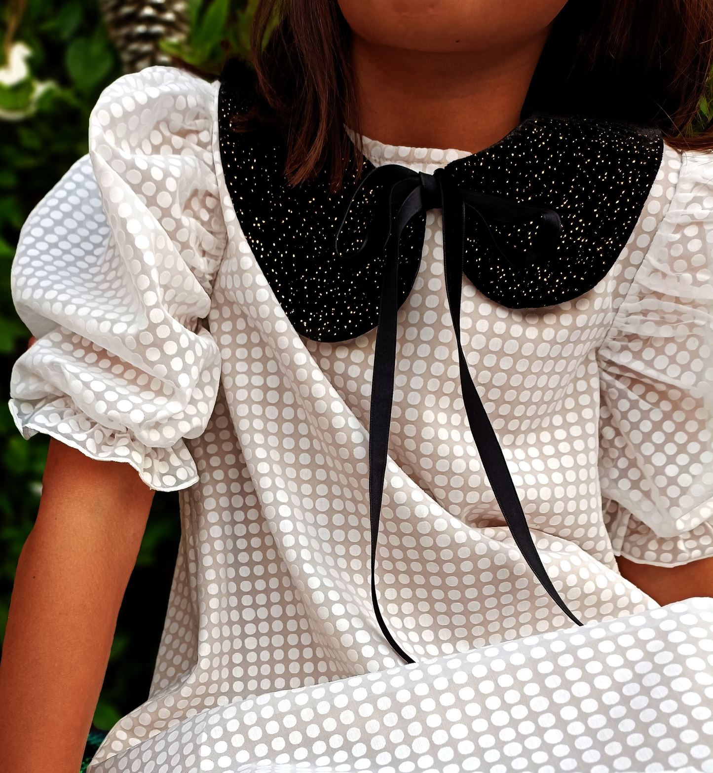 Night Sky - Velvet Collar with gold shimmers